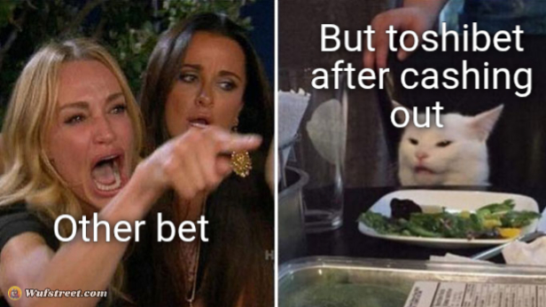 Angry lady cat