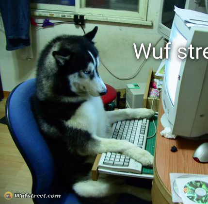 Wuf street
