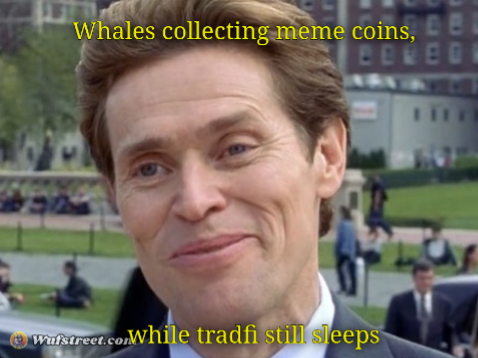 Meme coin