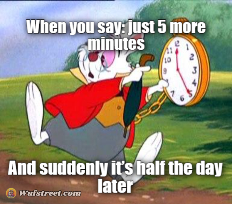 White Rabbit "I'm late!"