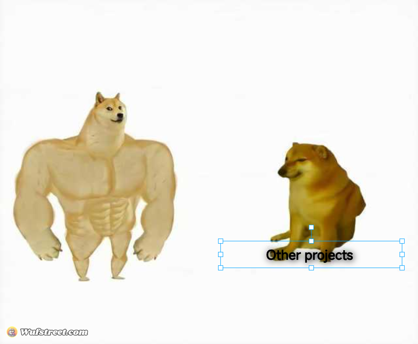 Strong dog vs weak dog