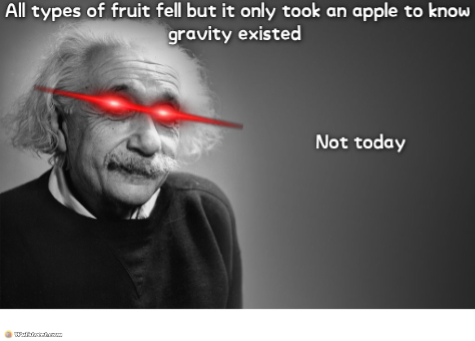 albert einstein quotes