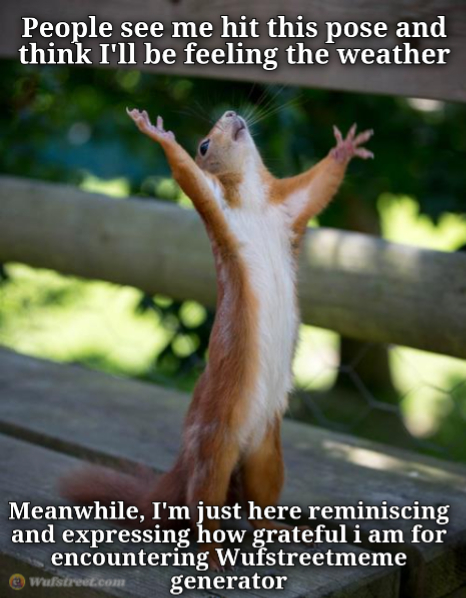 amen squirrel