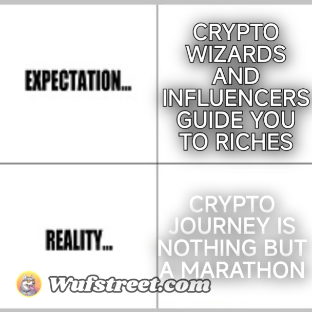 Expectation vs Reality