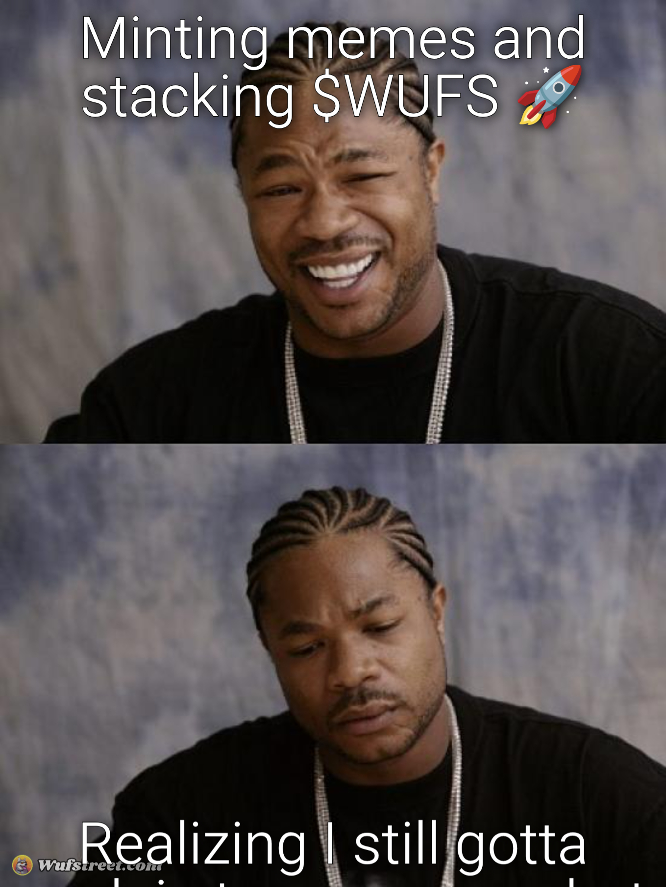 $WUFS meme