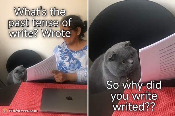 Woman showing paper to cat