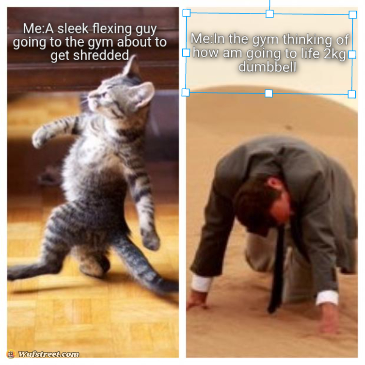 Go to the gym like