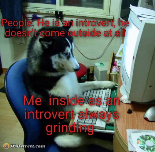 I Have No Idea What I Am Doing
