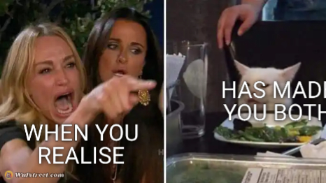 Angry lady cat