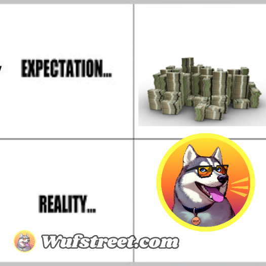 Expectation vs Reality