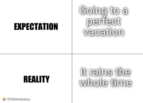Expectation vs Reality