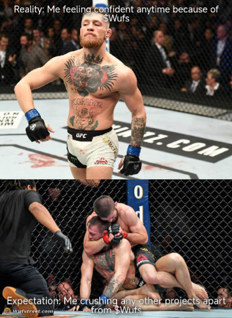 Mcgregor vs Kbabib, expectation vs reality