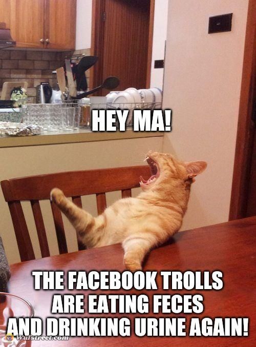 MA FB BROKEN