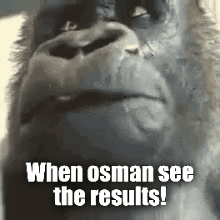 akward gorilla Meme