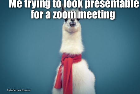 Smart Llama