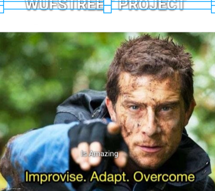 Bear Grylls Improvise Adapt Overcome