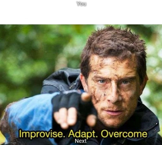 Bear Grylls Improvise Adapt Overcome