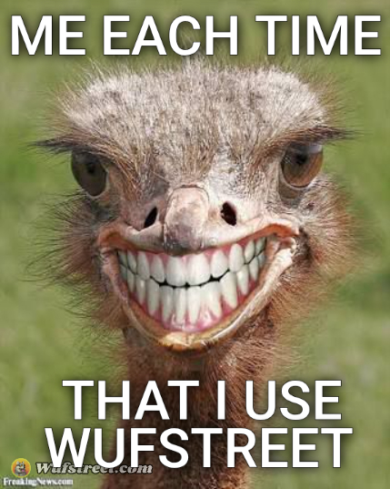 Teeth ostrich emu funny smile