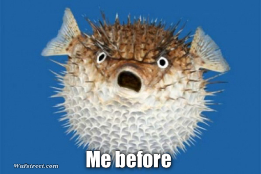 Puffer Fish