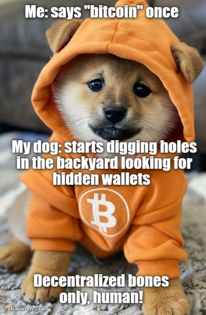 BTC Dog Coin