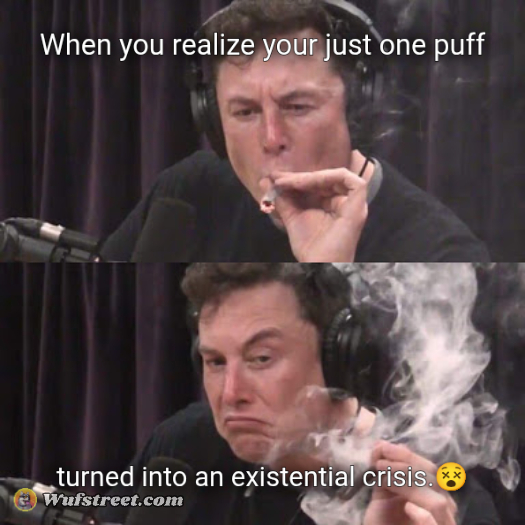 Elon Musk, high as space