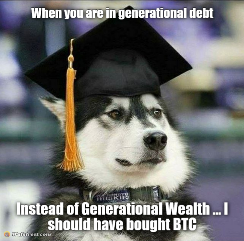 educated husky