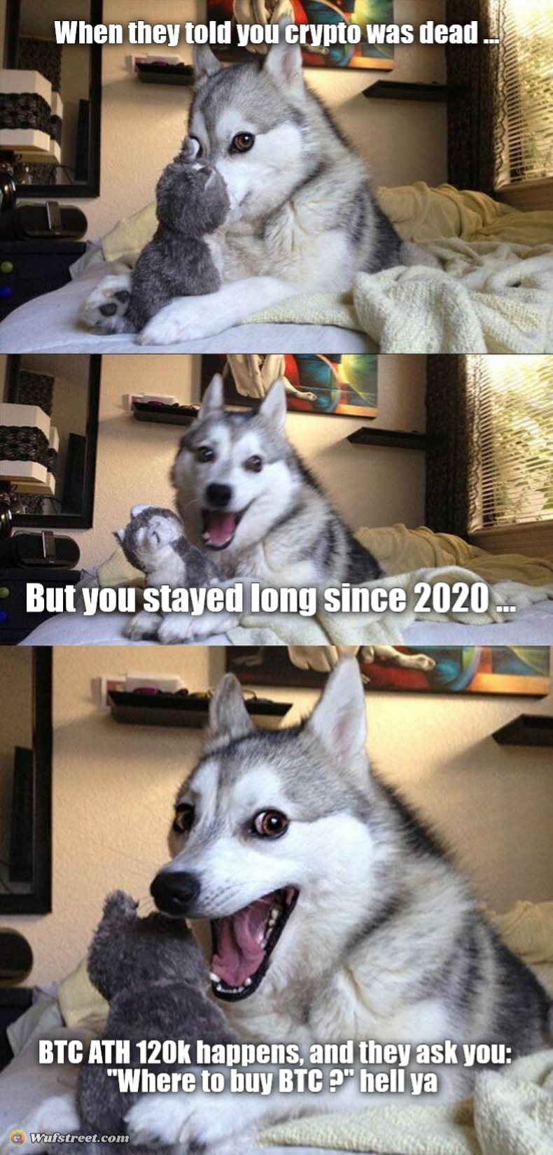 Bad Pun Dog