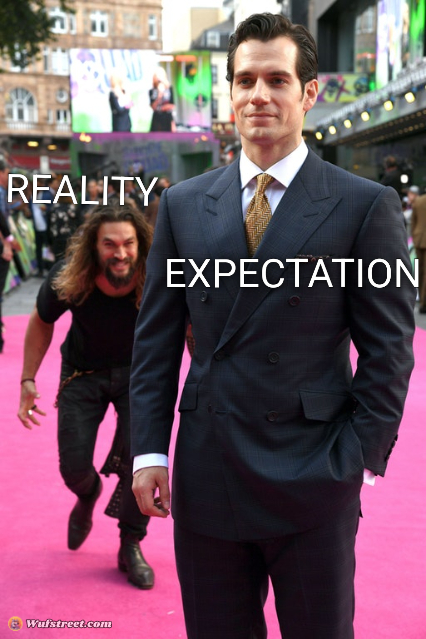 Expectation vs Reality 
