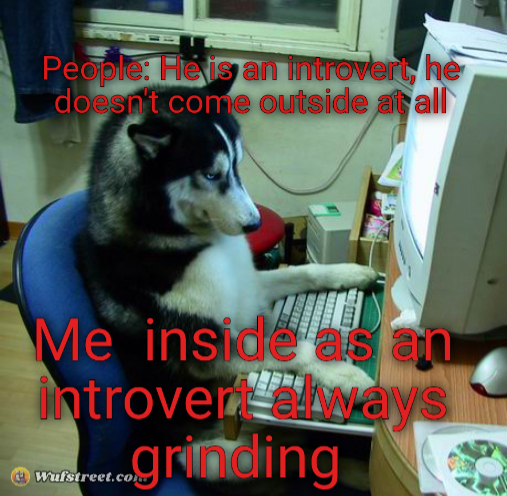 I Have No Idea What I Am Doing