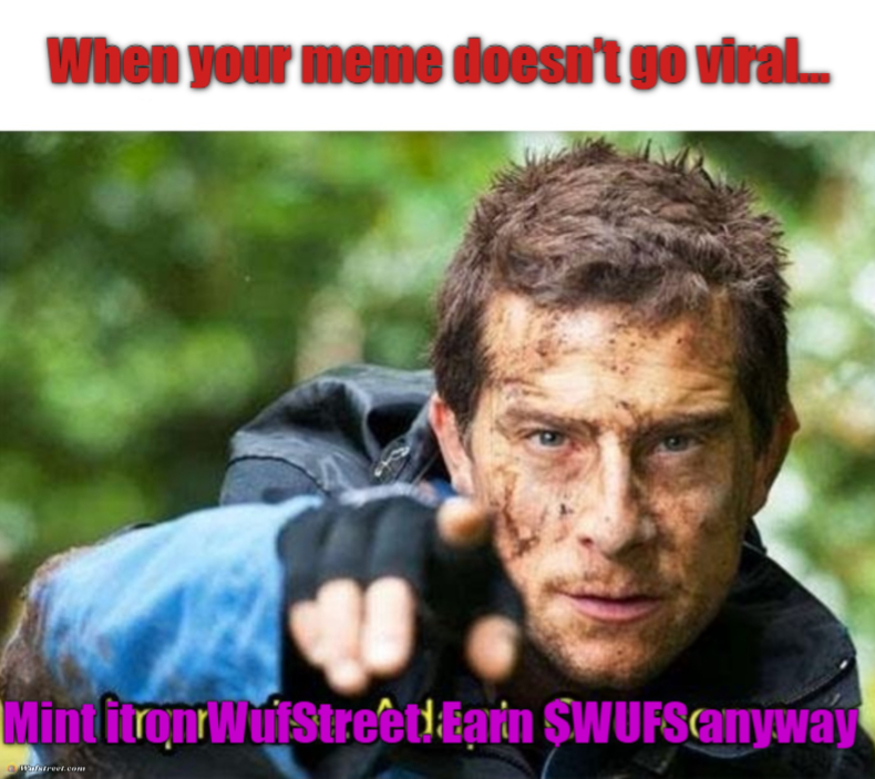 Bear Grylls Improvise Adapt Overcome