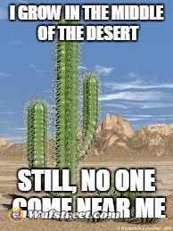 cactus