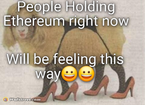KC Sheep