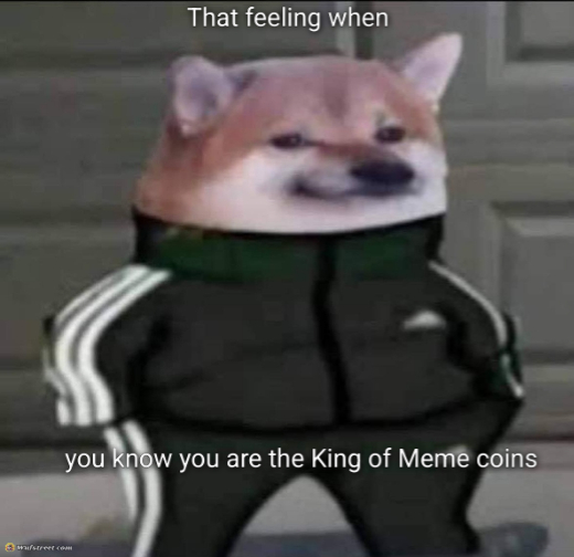 Slav doge