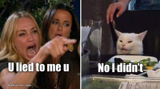 Angry lady cat
