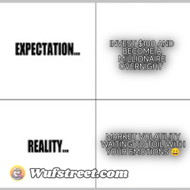 Expectation vs Reality