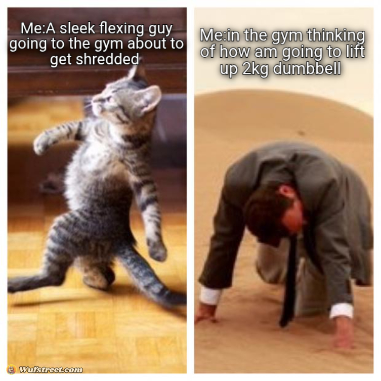 Go to the gym like