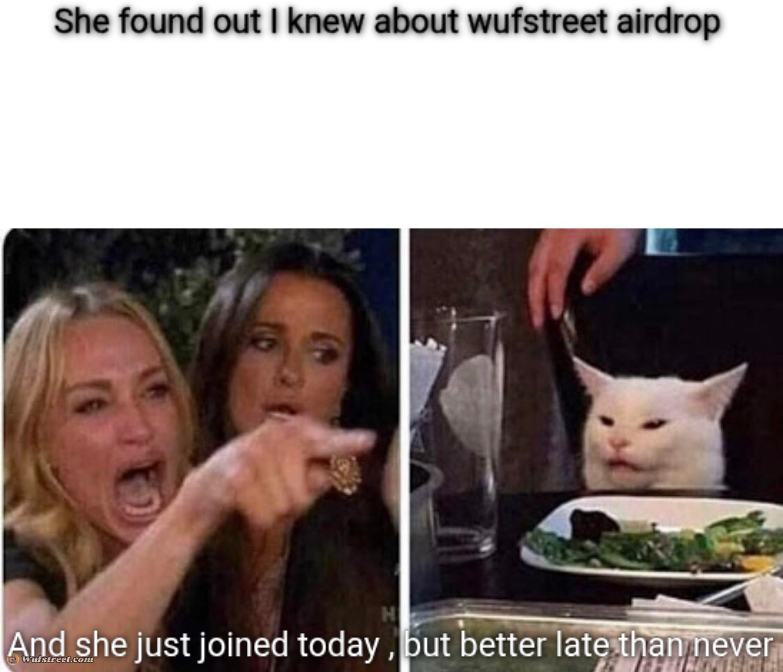 Lady screams at cat