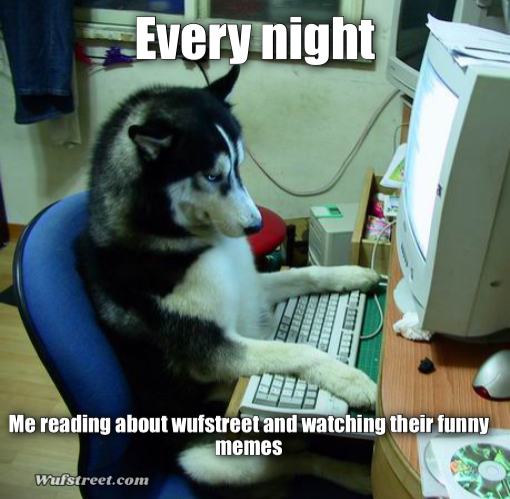 I Have No Idea What I Am Doing