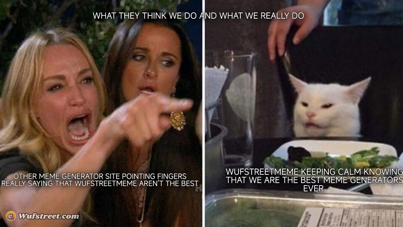 Angry lady cat