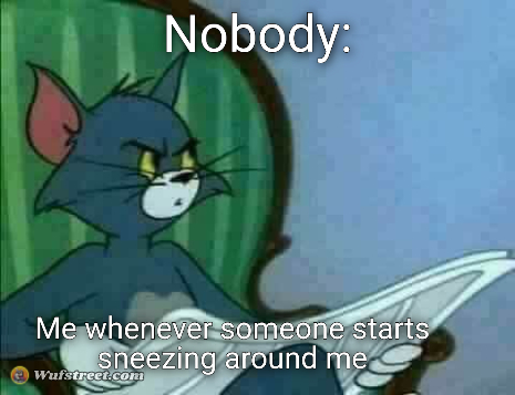 Tom Cat WTF