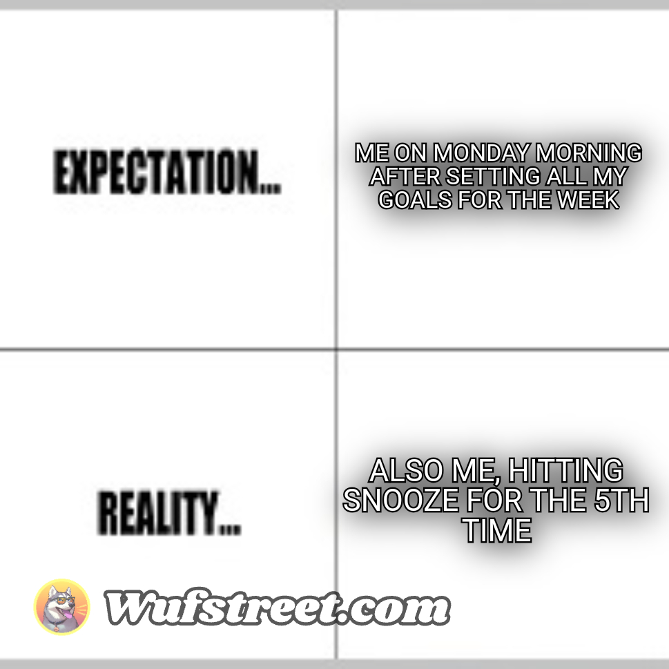 Expectation vs Reality