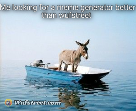 DONKEY ON A BOAT