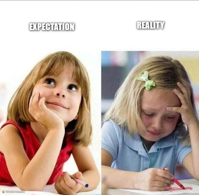 EXPECTATION VS REALITY