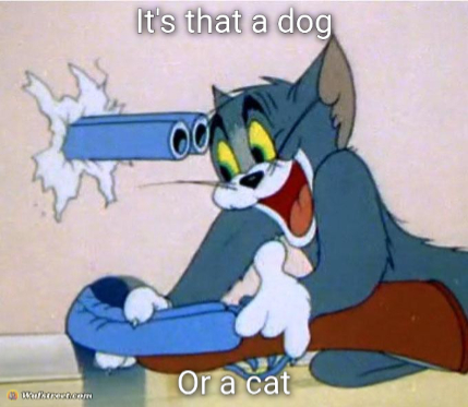 Wuff 