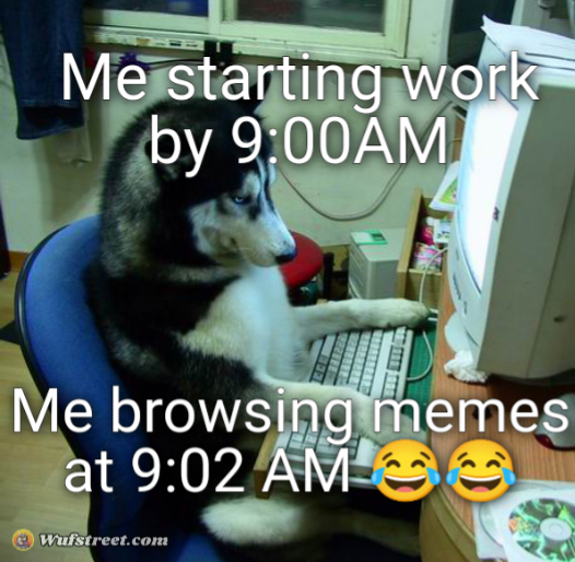 I Have No Idea What I Am Doing