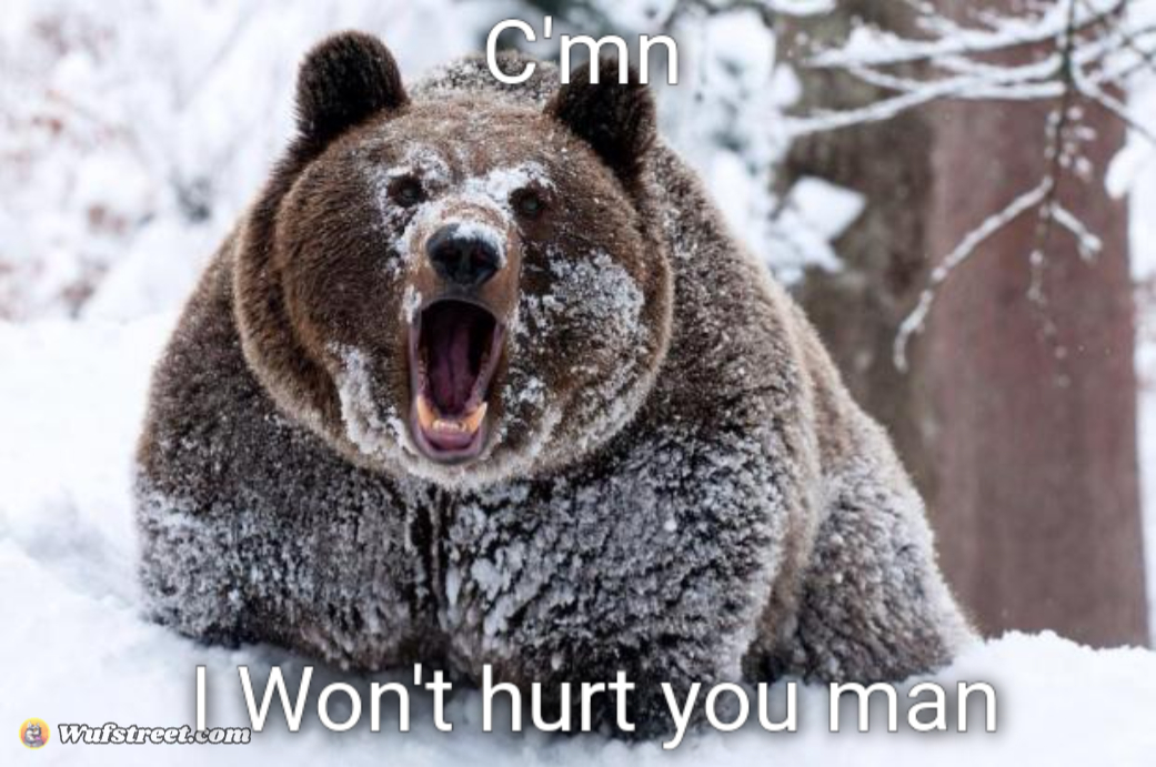 Cocaine bear