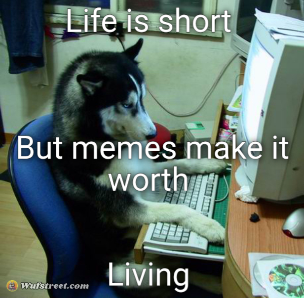 I Have No Idea What I Am Doing
