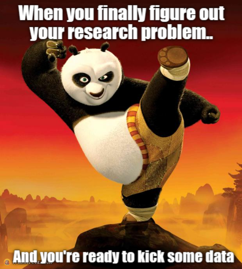 kung fu panda