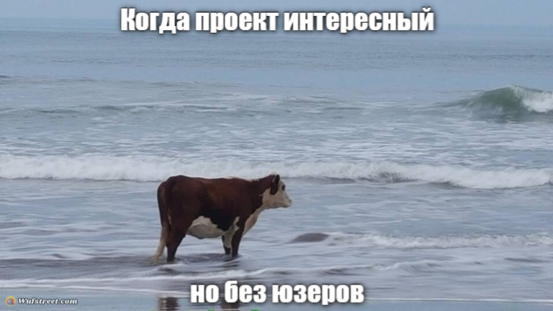 sad cow